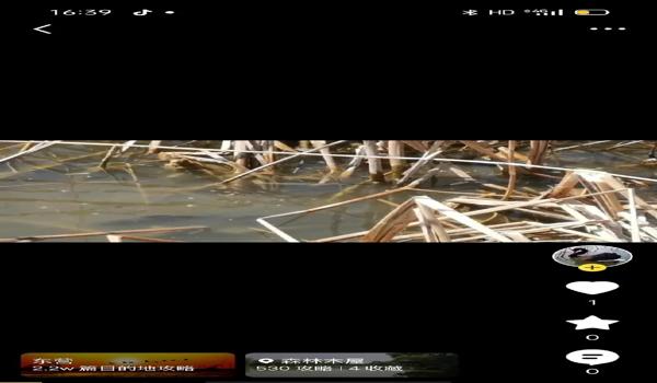 三角洲行动手游免费怎么下载（给我一个《三角洲行动》手游的免费下载链接）